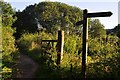 South Hams : Footpath