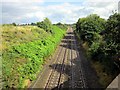 SJ4563 : The Chester to Crewe Railway Line at Waverton by Jeff Buck