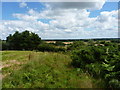 View east from Windmill Bank