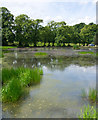 Colzium Estate Curling Pond