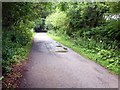 Track on the east shore of Rudyard Lake