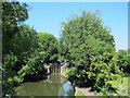 The Grand Union Canal north of Water Lane, WD4