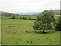 G7427 : Sligo grassland by Richard Webb