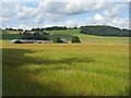 Barley at East Inch