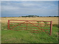 Red Gate on Meers Bank