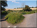 Road junction with grass covering