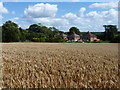 Rural cottages near Moreton