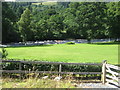 Pasture, River Tay and dinghy sailing