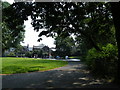 Fun through the trees, Hillsborough Park Lake, Sheffield