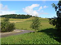 Road into Balloch