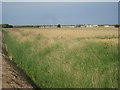 View towards the North End holiday camps