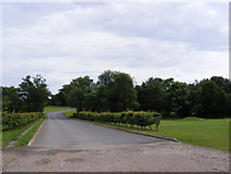 TM3975 : The entrance of Halesworth Golf by Geographer