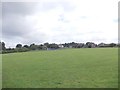 Recreation Ground - viewed from Syke Avenue