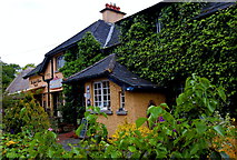 R4646 : Adare - Main Street - The Wild Geese Restaurant Cottage by Joseph Mischyshyn