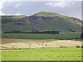 NO2009 : Fields below West Lomond by Douglas Nelson