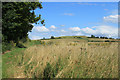 2012 : Footpath to Etchilhampton Hill