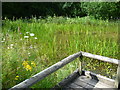 The pond at Tyland barn