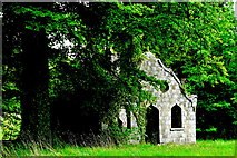 R4646 : Adare - Adare Manor Grounds - Ruins of Stone Building by Joseph Mischyshyn