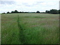 Footpath approaching Ufton from Harbury