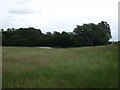 Pond near Ufton Fields