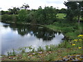 Shore of Thornton Reservoir