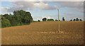 Harvested field near Harlow Mill