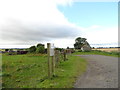NZ2438 : Smallholding near Meadowfield by Robert Graham