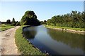 SP9113 : The Grand Union Canal Walk looking north by Steve Daniels