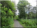 Old railway walk at Brandon