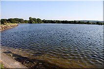 SP9114 : Startopsend Reservoir by Steve Daniels