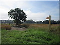 A path leading to Redhouse Lane