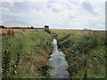 Maspin Moor Drain from Roe Lane