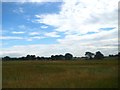 Cloudy skies above Melling