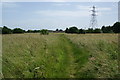 Footpath to Popes Lane