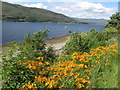 View over Loch Linnhe