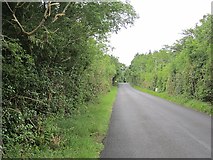 G6125 : Local road, Coolaney by Richard Webb