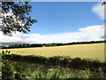 View to the north from the railway path