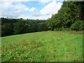 Field edge path near Dulas Court