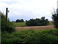 Footpath to Chediston Road