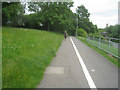 Cyclepath towards the university