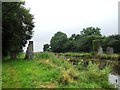 N2724 : Remains of a pedestrian bridge on the Grand Canal in Killina, Co. Offaly by JP