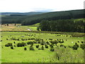 Beautiful farmland scene