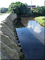 River Don, from Clay Wheels Lane, Sheffield - 3