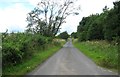 Country lane heading for Highend Farm