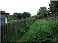 Path past the allotments, Ufton