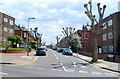 Pollarded trees, Prout Grove, Neasden