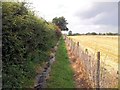 Footpath alongside a partially-harvested wheat field