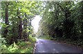 A tree-lined country road west of Haughley