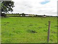 Beragh Townland