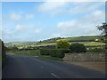 Chatfield Road and fields on edge of Niton